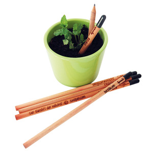 Raco pour Ensemble de Crayons Plantables Mini en Bois Naturel avec Logo Imprimable - Product Image 2
