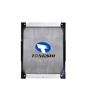 Pièces détachées automobiles de qualité, radiateur pour Daewoo <span class=keywords><strong>NOVUS</strong></span>, radiateur en aluminium, vente en gros de radiateurs automobiles TS <span class=keywords><strong>NO</strong></span>.84079 - Product Image 6