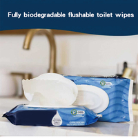 Lingettes humides jetables pour toilettes, lingettes jetables pour adultes, 80 lingettes pour le nettoyage quotidien