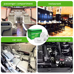 OEM dầu bạc hà để đẩy lùi chuột Chuột Chuột Kem chống chuột giữ động vật gặm nhấm ra khỏi nhà nhà để xe động cơ xe con người vật nuôi thực vật an toàn - Product Image 5