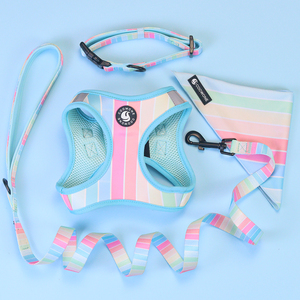 Set tali anjing desainer Bulldog Perancis, Harness anjing cetak kustom kerah anjing perlengkapan hewan peliharaan - Product Image 2