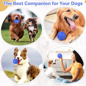 Indestructible caoutchouc écologique chien jouet grinçant étanche interactif mâcher balle agressif mâcheurs dents nettoyage poulet - Product Image 2