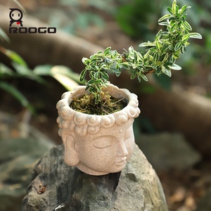 Roogo White Jade Buddha Head Maceta Pequeña Maceta Decorativa Suculenta Maceta Jardín Escritorio Asiático Zen Style Bonsai - Product Image 1