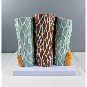 Modelo de Maniquí de Estructura Vascular Humana Ampliada - Anatomía Arterial y Venosa Educativa, Material de PVC Avanzado - Product Image 6