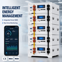 Système de stockage d'énergie solaire photovoltaïque 16,08 kWh 51,2 V 314 Ah LiFePO4 empilable CAN pour installation résidentielle hors réseau