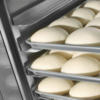 Nouvelle Armoire de Fermentation Automatique 32 Plateaux pour Boulangerie, Machine à Levain, pour Ingrédients du Pain, du Lait et du Sucre