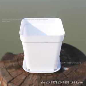 Suministro de fábrica, maceta pequeña cuadrada negra para vivero, plástico grueso, carnoso, Color caramelo, hogar cuadrado, ecológico, venta al por mayor, planta de flores - Product Image 6