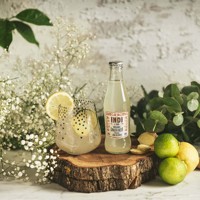 Refresco Artesanal Orgánico Español de Jengibre Bajo en Calorías, Hecho en España, Certificado por la USDA, 200ml