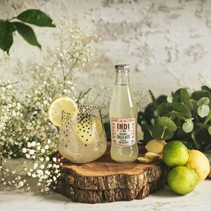 Bière au gingembre biologique fabriquée en Espagne, boisson gazeuse espagnole biologique USDA artisanale, faible en calories, Refresco 200ml - Product Image 5