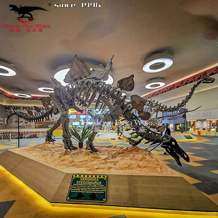 Realistic Replica Dinosaur Bone Fossil Dinosaur Skeleton Model