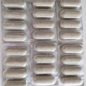 Mengobati Wasir Herbal Murni Promosi Hamil, untuk Sapi Susu SAPI - Product Image 4