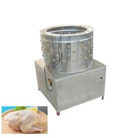 Dernière conception de machine à échauffer électrique/à gaz pour l'échaudage des poulets, échaudeuse et plumeuse de volailles pour l'abattage des poulets