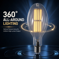 Ampoule LED à filament E40 ED120 en verre transparent, ovale, 280 mm, pour éclairage de cour, rue, entrepôt, rénovation d'éclairage à haut rendement