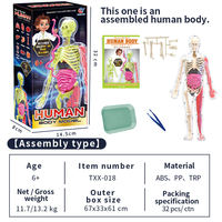 Modèle d'anatomie de squelette humain miniature en plastique, luminescent dans le noir, jouet éducatif à assembler pour enfants, coffret