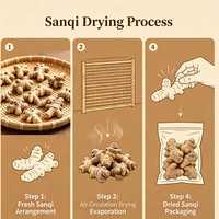 Racine de Sanqi Tianqi : Arôme Herbal Terrestre et Noisetté Doux, Matière Première pour Mélanges de Boissons, Pot-pourri et Additif Botanique pour Soins de la Peau Délicats