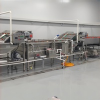 Productielijn voor het reinigen van ingelegde groenten en fruit