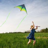 Jouet de plein air de cerf-volant de logo nouvellement personnalisé, adapté aux enfants et aux adultes