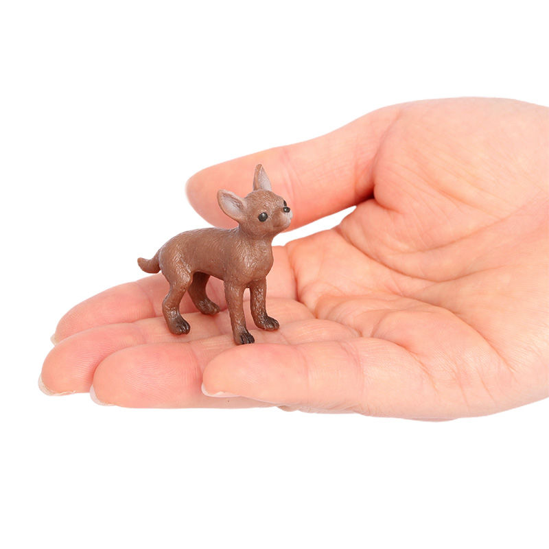 2588 Perro Chihuahua
