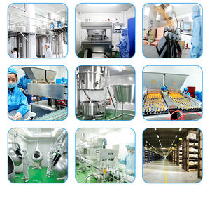 Collagene Plus, polvere di collagene per capelli, pelle, unghie, ossa e articolazioni, collagene idrolizzato in polvere - Product Image 5