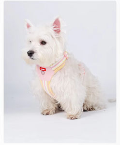 Rompi anjing layanan untuk anjing kecil bernapas rompi hewan <span class=keywords><strong>Harness</strong></span> anak anjing dan tali Set leher dan dada dapat disesuaikan - Product Image 4