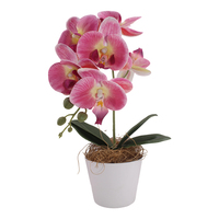 Orchidée artificielle réaliste de haute qualité en pot, style bonsaï, pour décoration de maison et de remise de diplôme