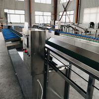 Heetverkopende, zeer efficiënte industriële automatische fruit- en groentesorteermachine voor de markt in Thailand en India