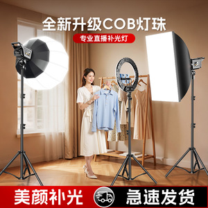 Professional Photography Lights 100W LED Three Color Adjustable Deep Polished Soft Light Spherical For Live Streaming Room - Product Image 2