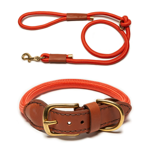 Conjunto de <span class=keywords><strong>collar</strong></span> y correa de nailon para entrenamiento de perros trenzado hecho a mano de alta calidad ajustable - Product Image 2