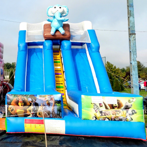 Tobogán inflable de Madagascar para niños, casa de brinco inflable para exteriores, tobogán inflable seco de doble carril. - Product Image 1