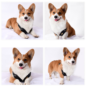 Set personalizzato di imbracatura per cani e guinzaglio regolabile riciclato stile occidentale di lusso impermeabile in pelle vegana Pet pettorina accessori - Product Image 3