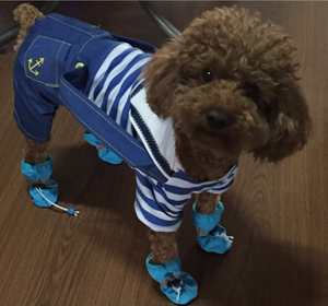 Promoção: Conjunto de Botas Impermeáveis Antiderrapantes de Sola Macia para Cães e Gatos de Pequeno Porte – Calçados para Animais de Estimação para Todas as Estações – Atacado - Product Image 4