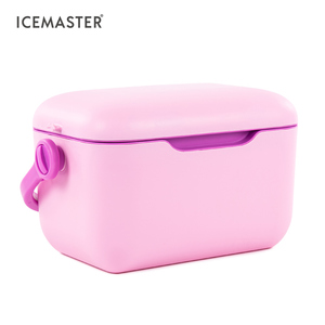 IceMaster New Product 21QT Strapped Insulated Picnic Portable Outdoor Ice Cooler Can Car Cooler Box Fridge
