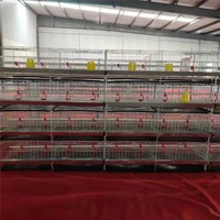 Une cage de couvaison intelligente avec affichage de la température et de l'humidité, ajustant automatiquement l'environnement de reproduction