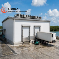 Edificio Frigorifero in Struttura d'Acciaio Economico per Distribuzione Regionale di Prodotti da Forno Congelati, Design Moderno, Garanzia 1 Anno