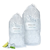 Sacs à glaçons jetables imprimés sur mesure, sacs en plastique transparent avec cordon de serrage, durables et réutilisables