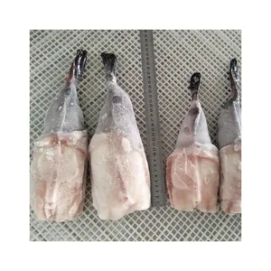 Promotional Top Quality Cheap Prices Frozen Raw Monkfish H/g