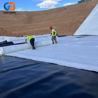 Geomembrana de HDPE/LDPE de 1 mm, Anti-UV, Diseño Moderno, Impermeable, Reciclable, Ecológica, Revestimientos para Vertederos, Estanques para Cría de Camarones/Peces