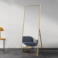 Metal Aluminum Framed Floor Mirror Stand