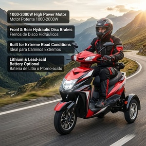 <span class=keywords><strong>Moto</strong></span> électrique tout-terrain à <span class=keywords><strong>3</strong></span> <span class=keywords><strong>roues</strong></span> 1000W 2000W pour la montée en pente, frein à disque hydraulique avec écran LCD multifonctionnel - Product Image 1
