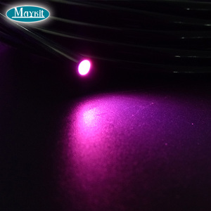 4mm final de polímero de fibra óptica luz de <span class=keywords><strong>la</strong></span> cuerda para <span class=keywords><strong>la</strong></span> Sauna <span class=keywords><strong>estrella</strong></span> de techo - Product Image 1