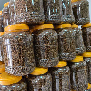 Vermi del pane essiccati 270ml cibo per pesci d'acquario rettile uccello criceto tartaruga mangime - Product Image 3