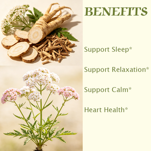 Capsules de racine de valériane OEM/ODM très vendues, sans risque d'addiction, sans mélatonine, favorisent le calme, la relaxation et le sommeil - Product Image 4