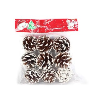 Moderne piccole pinne di neve ornamenti per l'albero di natale ringraziamento fai da te mestieri vaso riempitivi autunno inverno decorazioni per la casa-fabbrica - Product Image 5