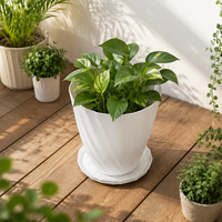 Divers pots de fleurs pour plantes d'intérieur, de jardin et d'extérieur