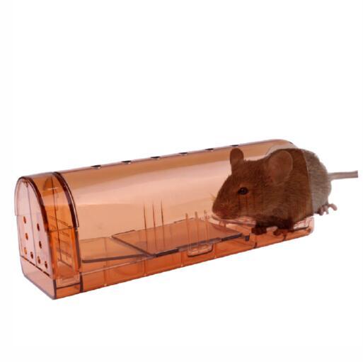 Mouse Trap No Kill Animal Pet Control Cage Reusable Mice Rodent Catcher Rat Trap