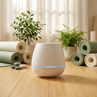 Diffuseur d'huiles essentielles ultrasonique portable à brume froide alimenté par USB, éclairage LED, design écologique, 101-200 ml