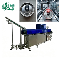 Chestny Znak GS1DataMatrix Alu Fiber Lasergraveermachine EZCAD-systeem Bierblikkenproductielijn Één artikel, één code, traceerbaarheid
