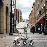Poussette pliable à 4 roues pour petits animaux, imperméable, grande capacité, coussin confortable, compatible voiture/train/bateau