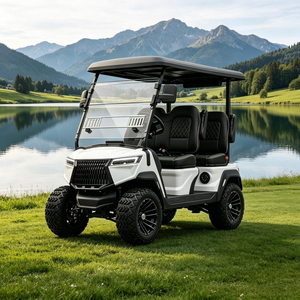 Voiturette de golf électrique de type buggy pour campus privé, avec suspension à double bras, pour utilisation hors route publique, homologuée DOT CE EEC - Product Image 1