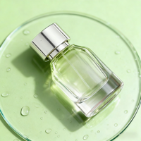 Flacons de parfum en verre de luxe de haute qualité 30/50/100 ml avec bouchon magnétique et emballage cadeau manuel